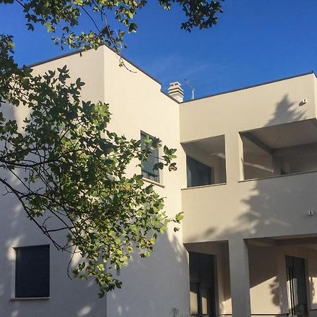 M Plus Residence Pinezići Dış mekan fotoğraf